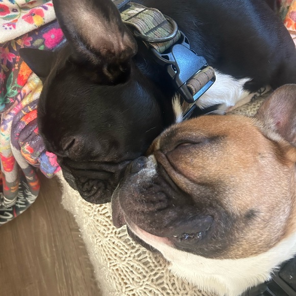 Meet your Posher, Lisa - Picture 8 of 13